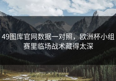 49图库官网数据一对照，欧洲杯小组赛里临场战术藏得太深