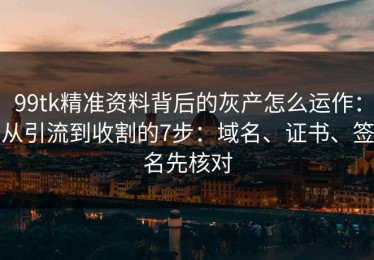 99tk精准资料背后的灰产怎么运作：从引流到收割的7步：域名、证书、签名先核对