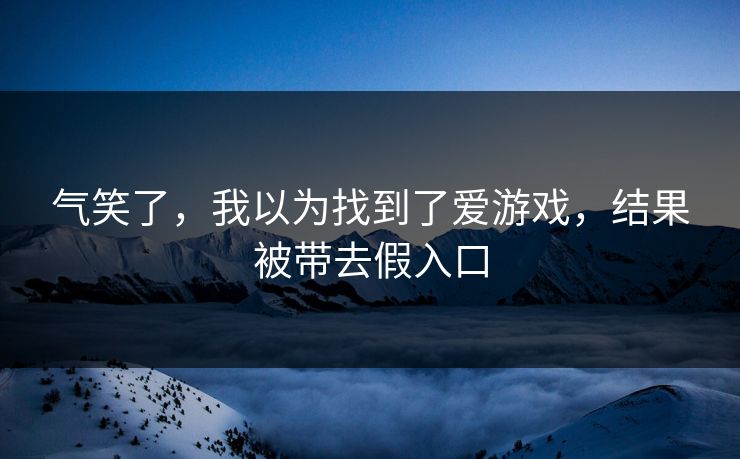气笑了,我以为找到了爱游戏,结果被带去假入口 气笑了,我以为找到了爱游戏,结果被带去假入口