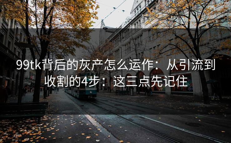 99tk背后的灰产怎么运作:从引流到收割的4步:这三点先记住 99tk背后的灰产怎么运作:从引流到收割的4步:这三点先记住