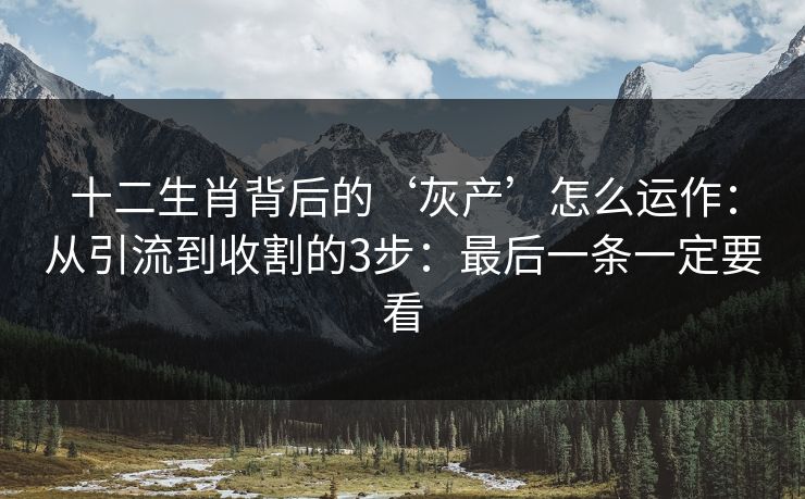 十二生肖背后的‘灰产’怎么运作：从引流到收割的3步：最后一条一定要看