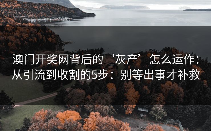 澳门开奖网背后的‘灰产’怎么运作:从引流到收割的5步:别等出事才补救 澳门开奖网背后的‘灰产’怎么运作:从引流到收割的5步:别等出事才补救