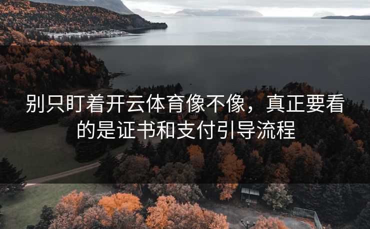 别只盯着开云体育像不像,真正要看的是证书和支付引导流程 别只盯着开云体育像不像,真正要看的是证书和支付引导流程